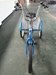 True Bicycles Journey Trike